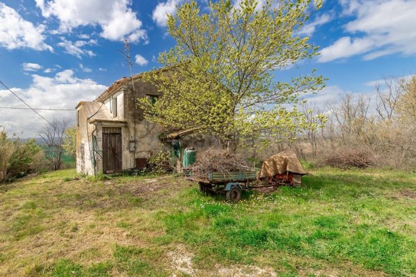 esavano in vendita a Belvedere Ostrense