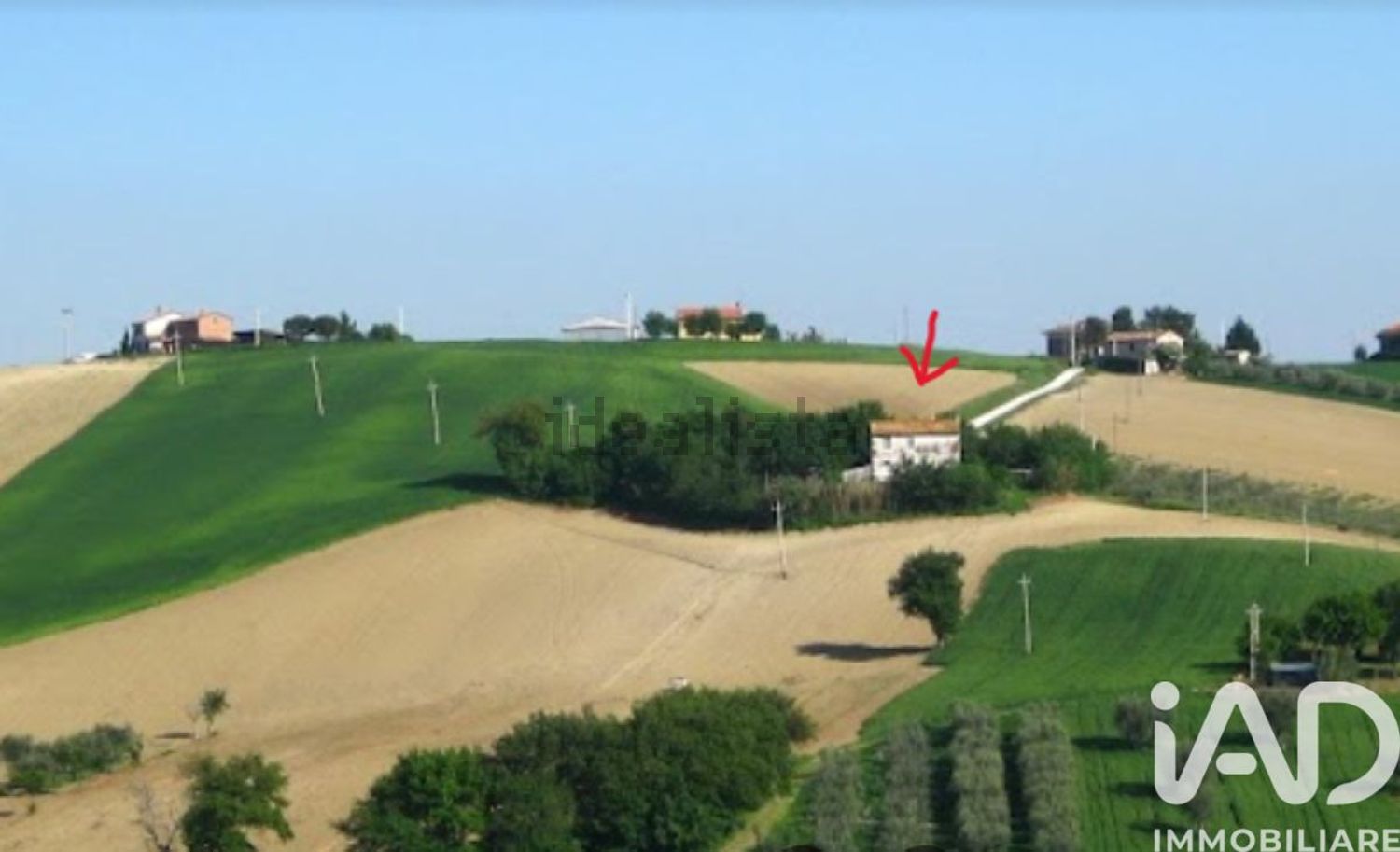 casa indipendente in vendita a Belvedere Ostrense