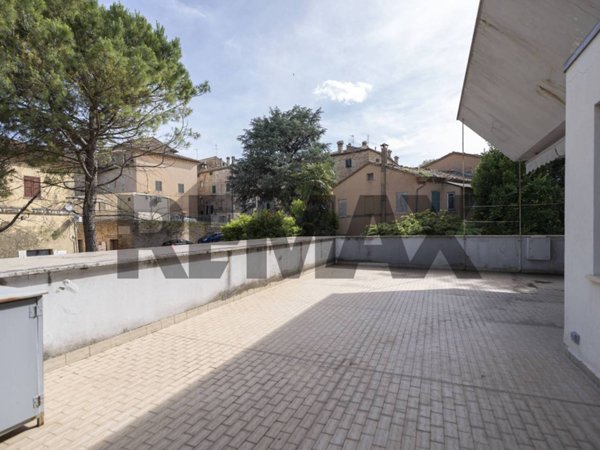 appartamento in vendita a Belvedere Ostrense