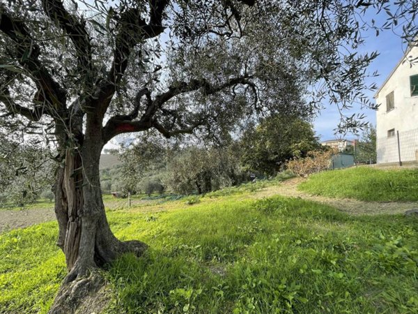 casale in vendita a Belvedere Ostrense in zona Madonna del Sole