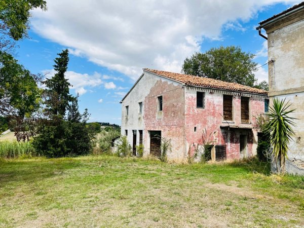 terreno agricolo in vendita a Belvedere Ostrense