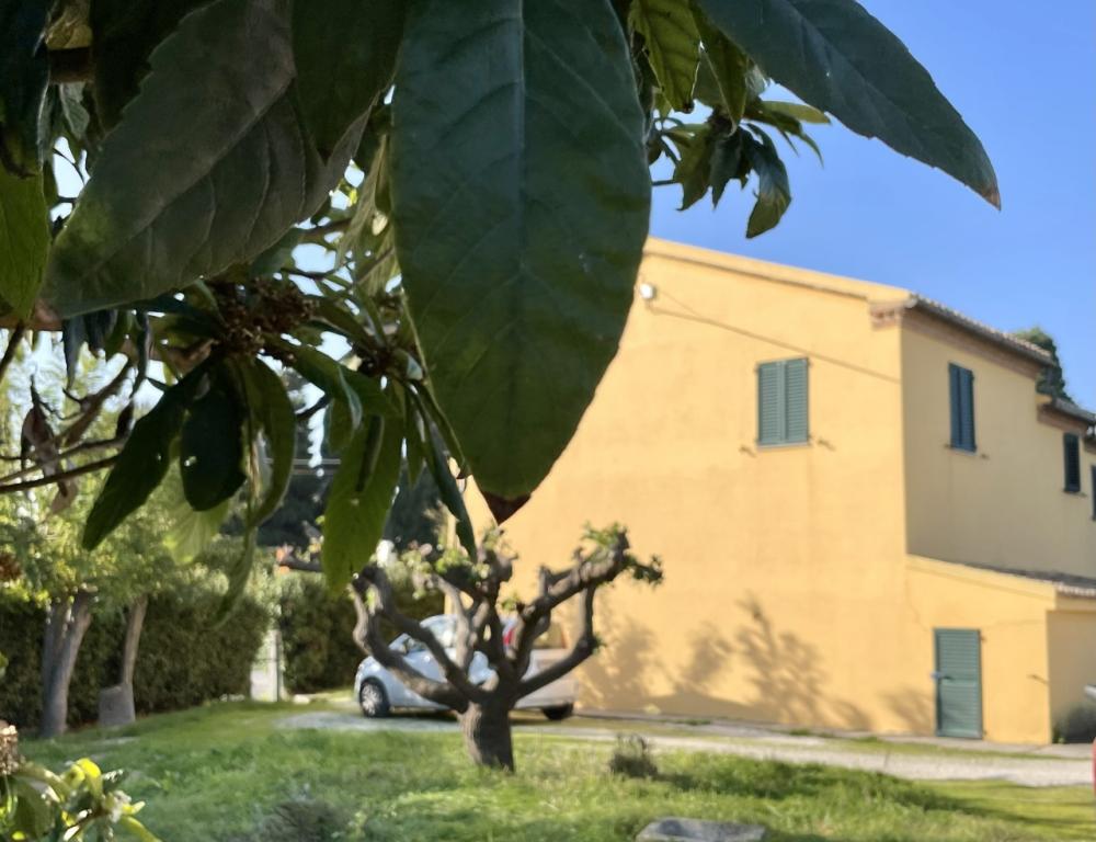 casa indipendente in vendita a Camerano in zona San Germano