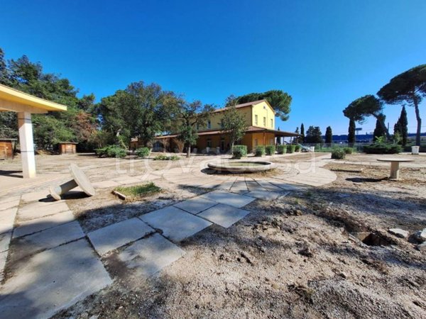 negozio in vendita a Camerano