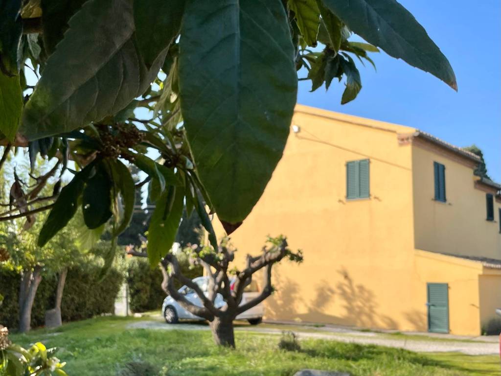 casa indipendente in vendita a Camerano in zona San Germano
