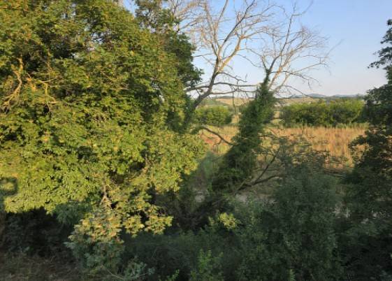 terreno edificabile in vendita a Camerano