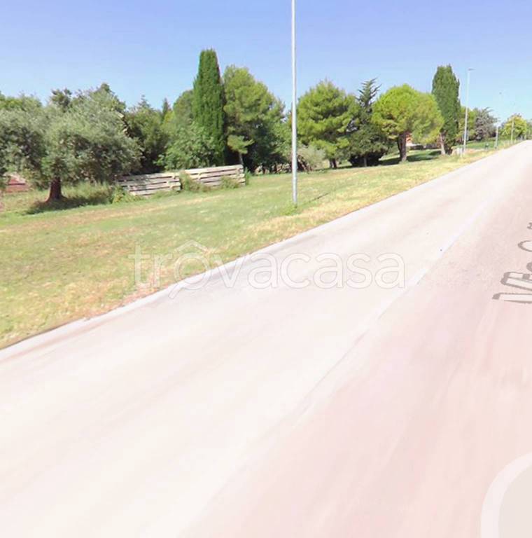 terreno agricolo in vendita a Camerano