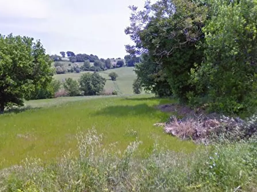 terreno agricolo in vendita a Camerano