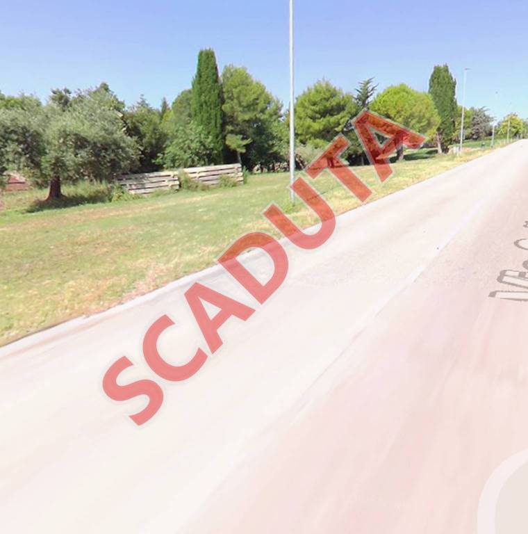 terreno agricolo in vendita a Camerano