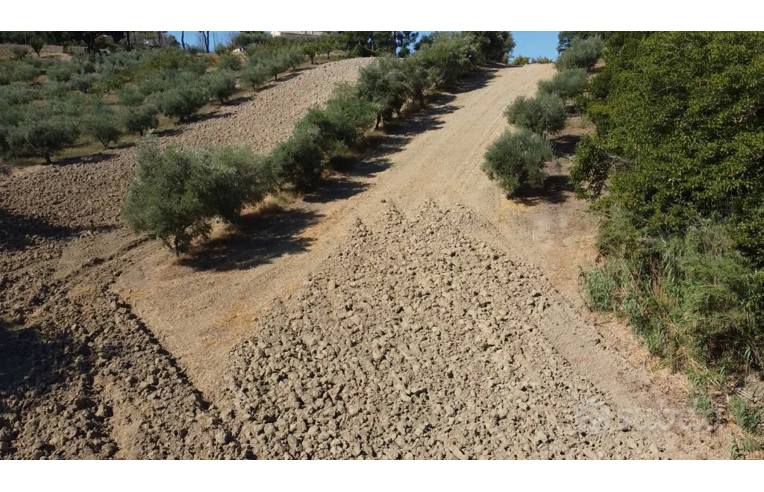 terreno agricolo in vendita a Camerano