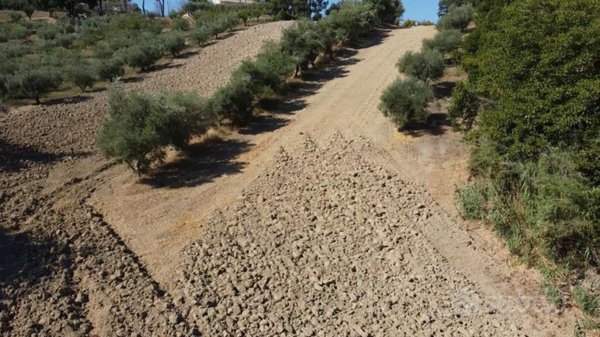 terreno agricolo in vendita a Camerano