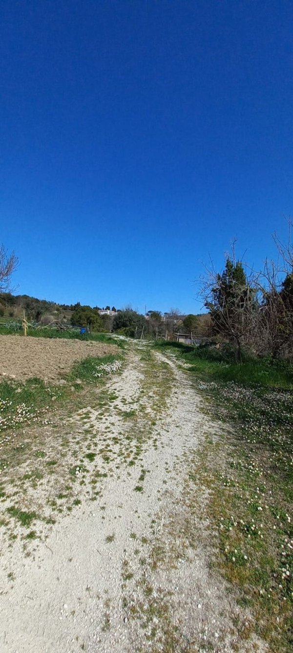 terreno agricolo in vendita a Camerano