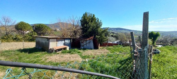 terreno agricolo in vendita a Camerano