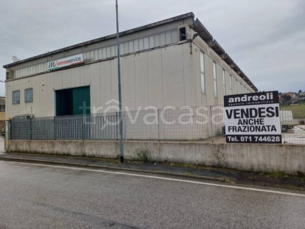 locale commerciale in vendita a Camerata Picena