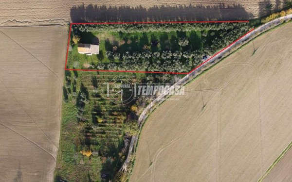 casale in vendita a Camerata Picena