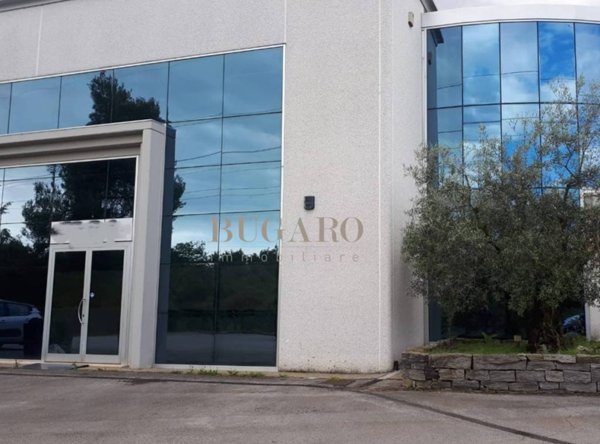 negozio in vendita a Camerata Picena