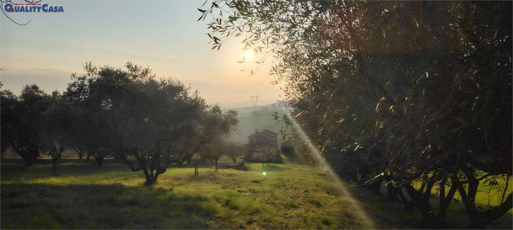 pentavano in vendita a Camerata Picena