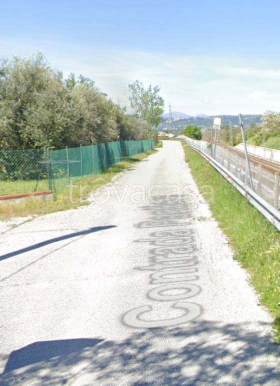 terreno agricolo in vendita a Castelbellino in zona Pantiere