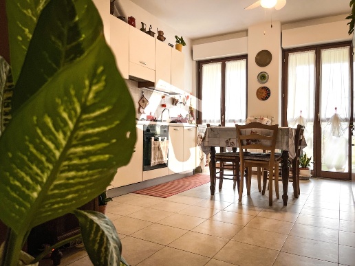 appartamento in vendita a Castelbellino in zona Stazione