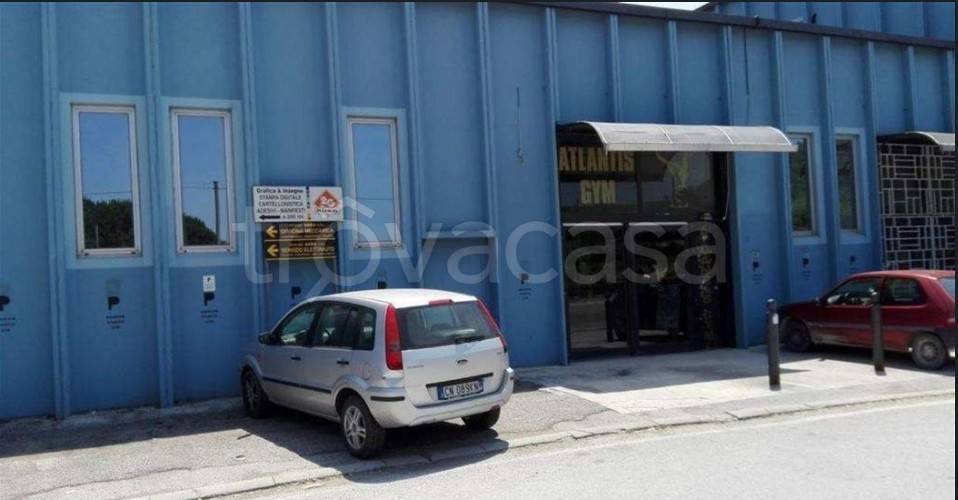 locale commerciale in vendita a Castelbellino