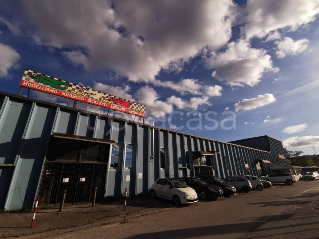 locale commerciale in vendita a Castelbellino