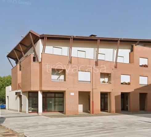 appartamento in vendita a Castelbellino in zona Stazione