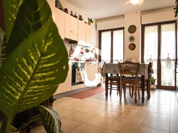 appartamento in vendita a Castelbellino in zona Stazione