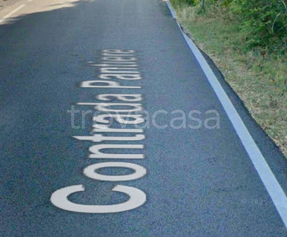 terreno agricolo in vendita a Castelbellino in zona Pantiere