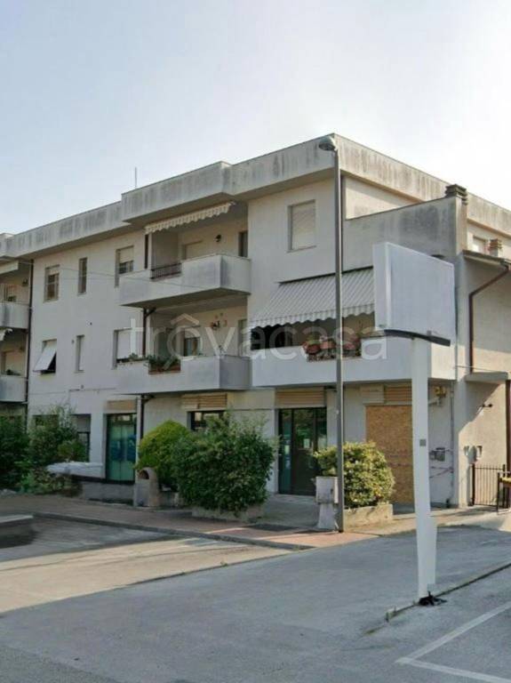 negozio in vendita a Castelbellino in zona Stazione