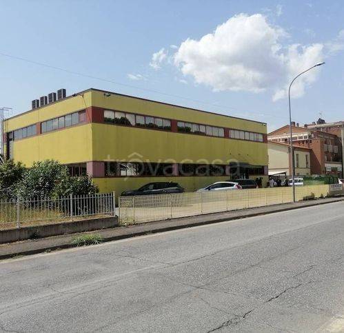 negozio in vendita a Castelbellino in zona Stazione