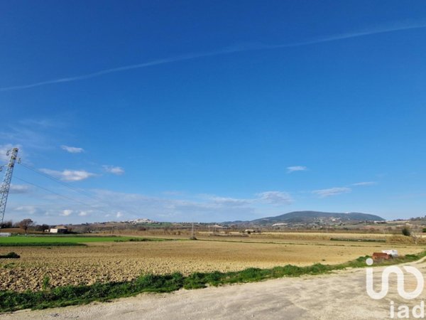 terreno agricolo in vendita a Castelfidardo