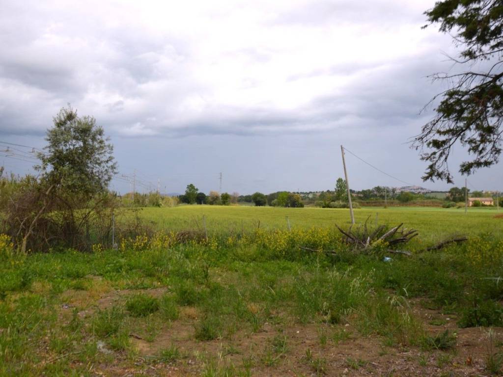 terreno agricolo in vendita a Castelfidardo