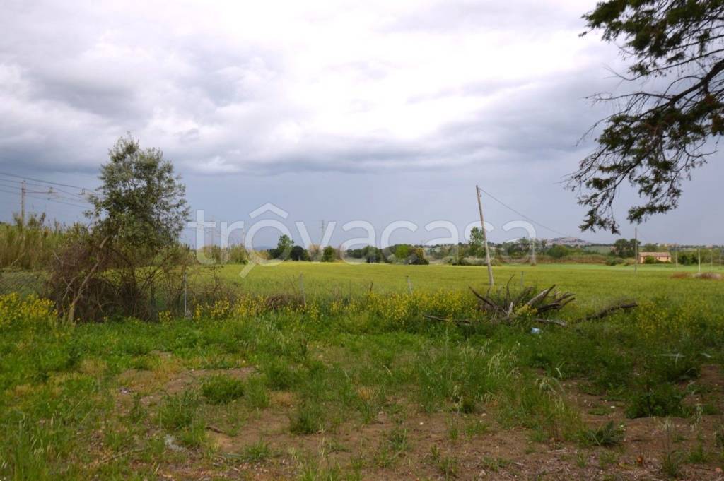 terreno agricolo in vendita a Castelfidardo
