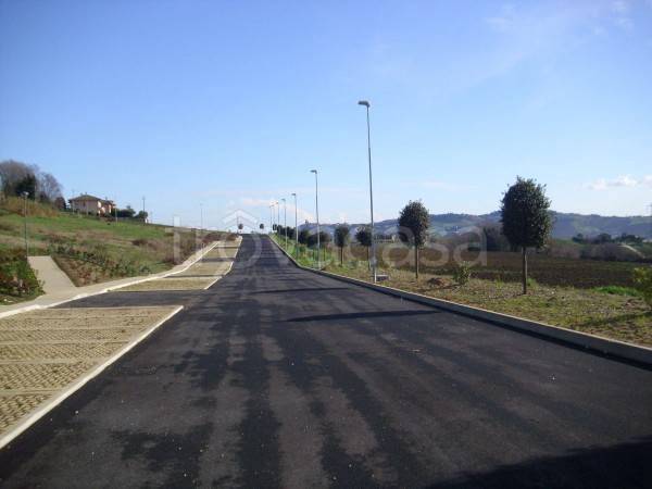 terreno agricolo in vendita a Castelfidardo