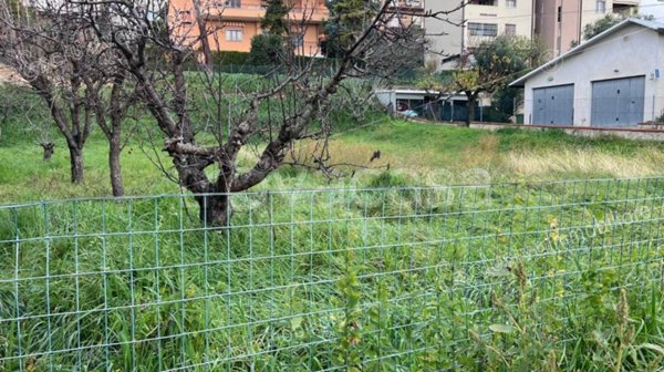 casa indipendente in vendita a Castelfidardo in zona Sant'Agostino