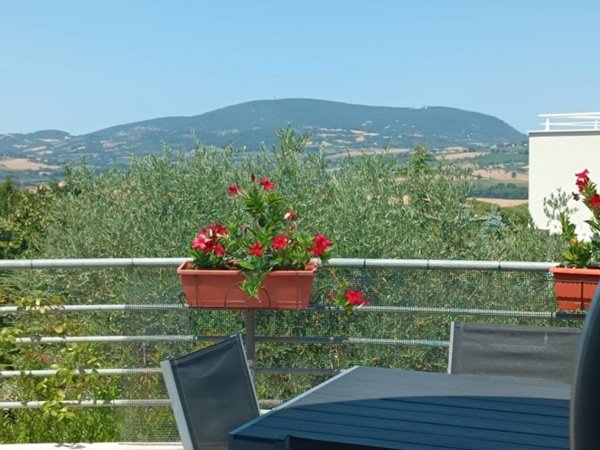 casa indipendente in vendita a Castelfidardo