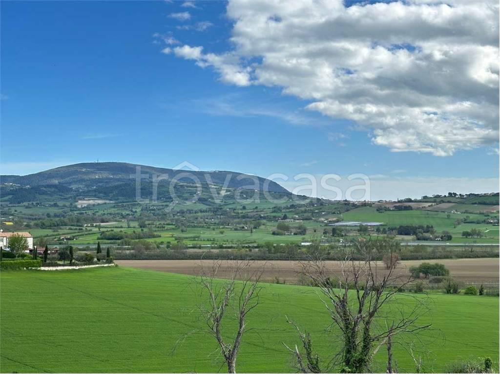 casa indipendente in vendita a Castelfidardo in zona San Rocchetto