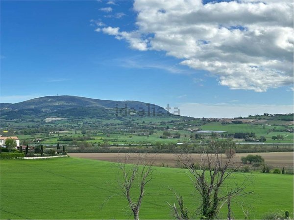 casa indipendente in vendita a Castelfidardo