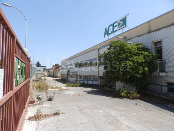 capannone in vendita a Castelfidardo