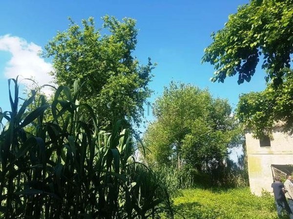 casale in vendita a Castelfidardo