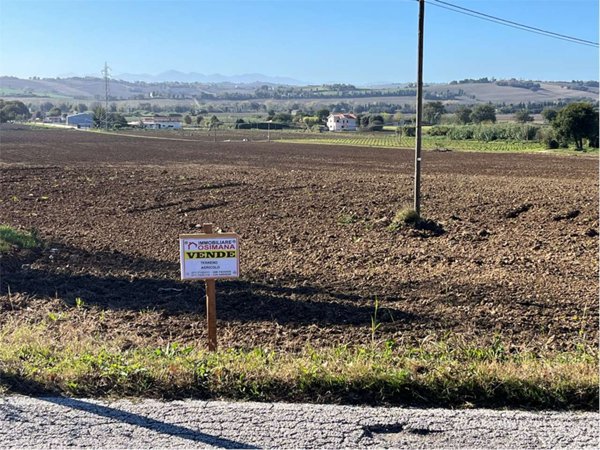 terreno agricolo in vendita a Castelfidardo