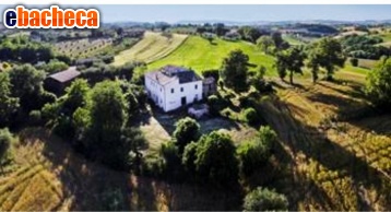 appartamento in vendita a Castelleone di Suasa