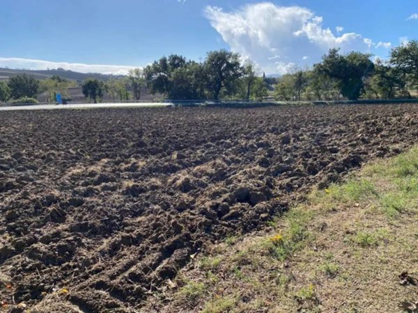 terreno agricolo in vendita a Castelleone di Suasa