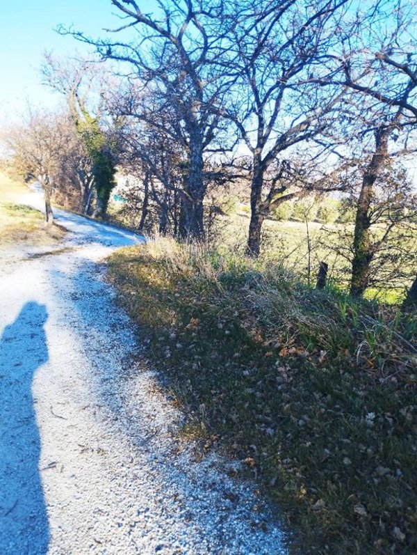 casa indipendente in vendita a Castelleone di Suasa in zona Farneto