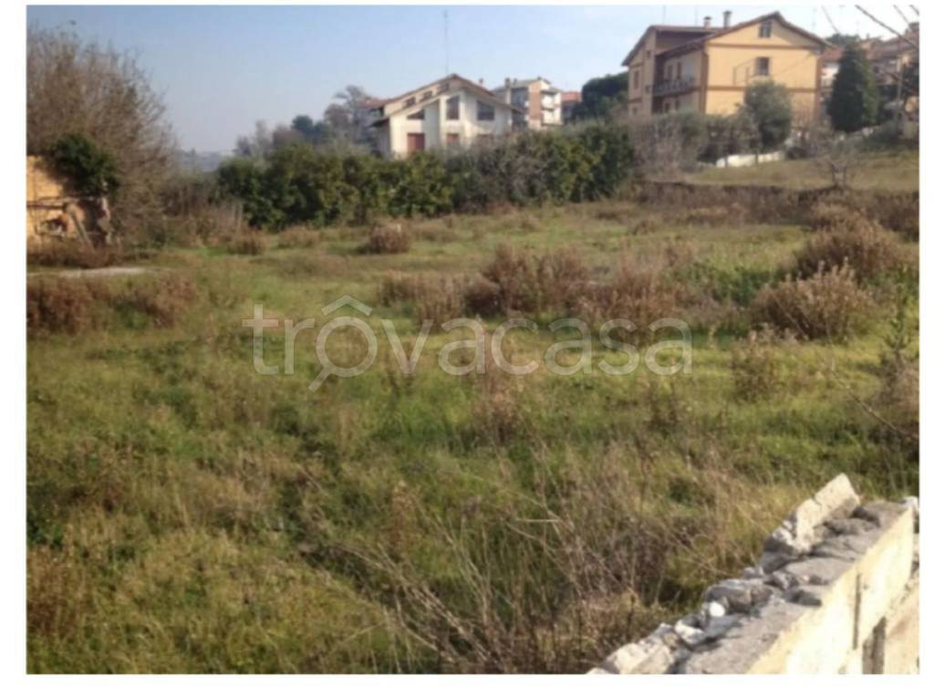 terreno agricolo in vendita a Castelleone di Suasa