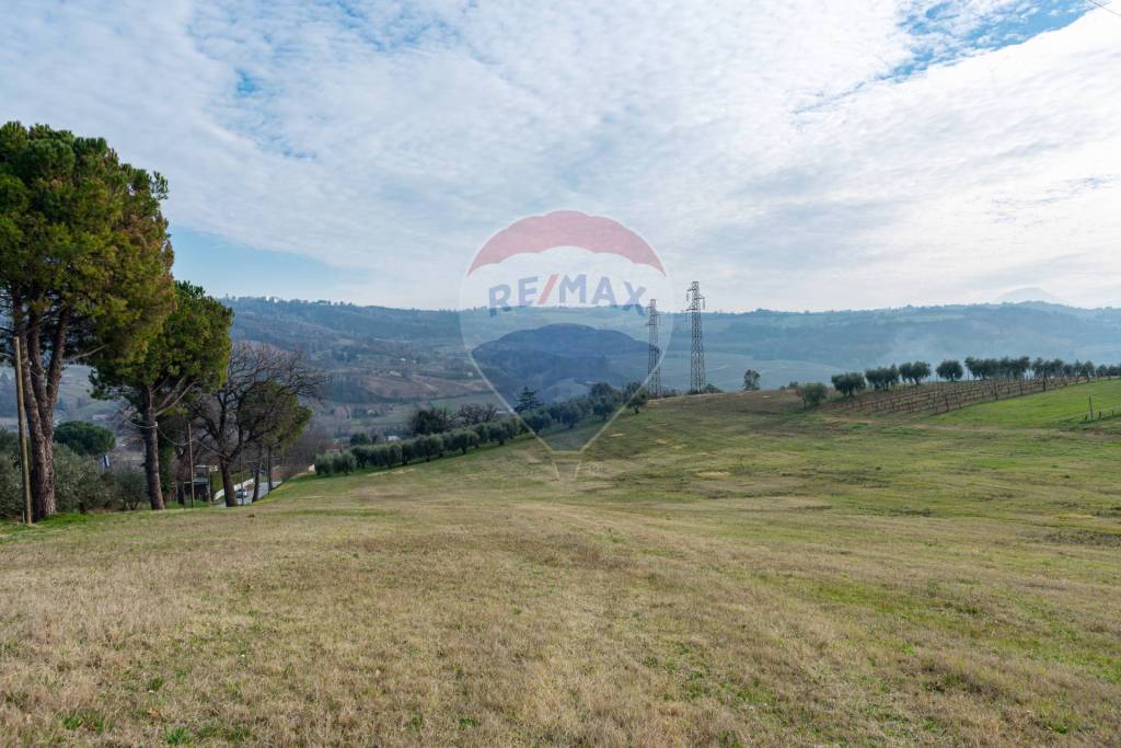 terreno agricolo in vendita a Castelplanio