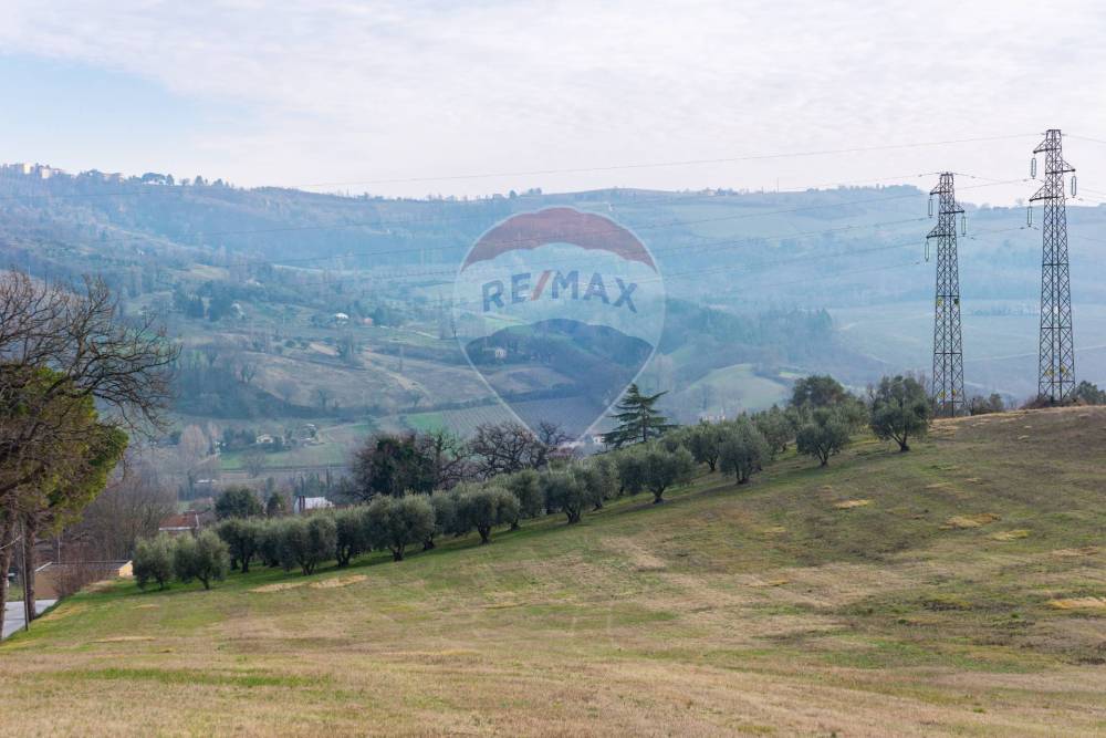 terreno agricolo in vendita a Castelplanio