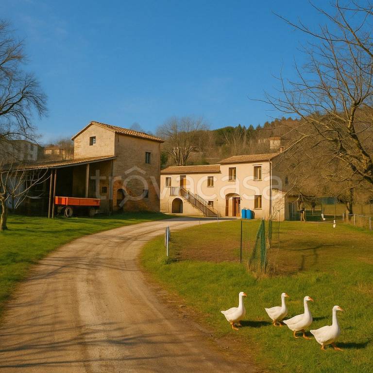 casa indipendente in vendita a Castelplanio in zona Borgo Loreto
