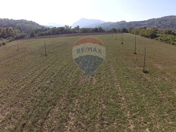 terreno agricolo in vendita a Castelplanio in zona Macine