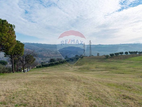 terreno agricolo in vendita a Castelplanio