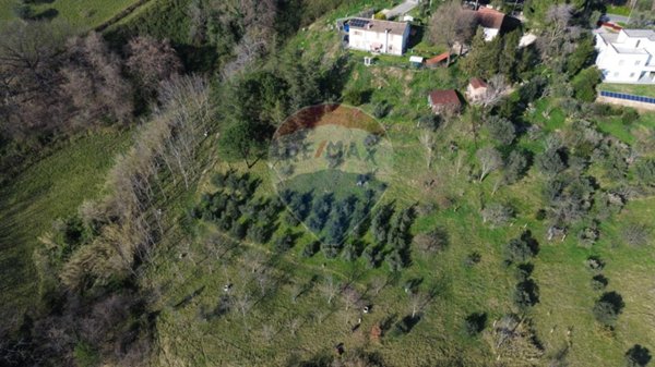 terreno agricolo in vendita a Castelplanio